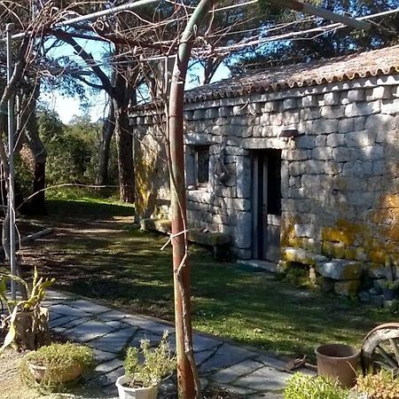 Agriturismo La Vigna Tempio Pausania Bagian luar foto