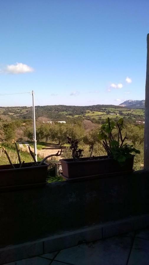 Agriturismo La Vigna Tempio Pausania Bagian luar foto