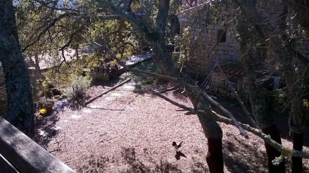 Agriturismo La Vigna Tempio Pausania Bagian luar foto