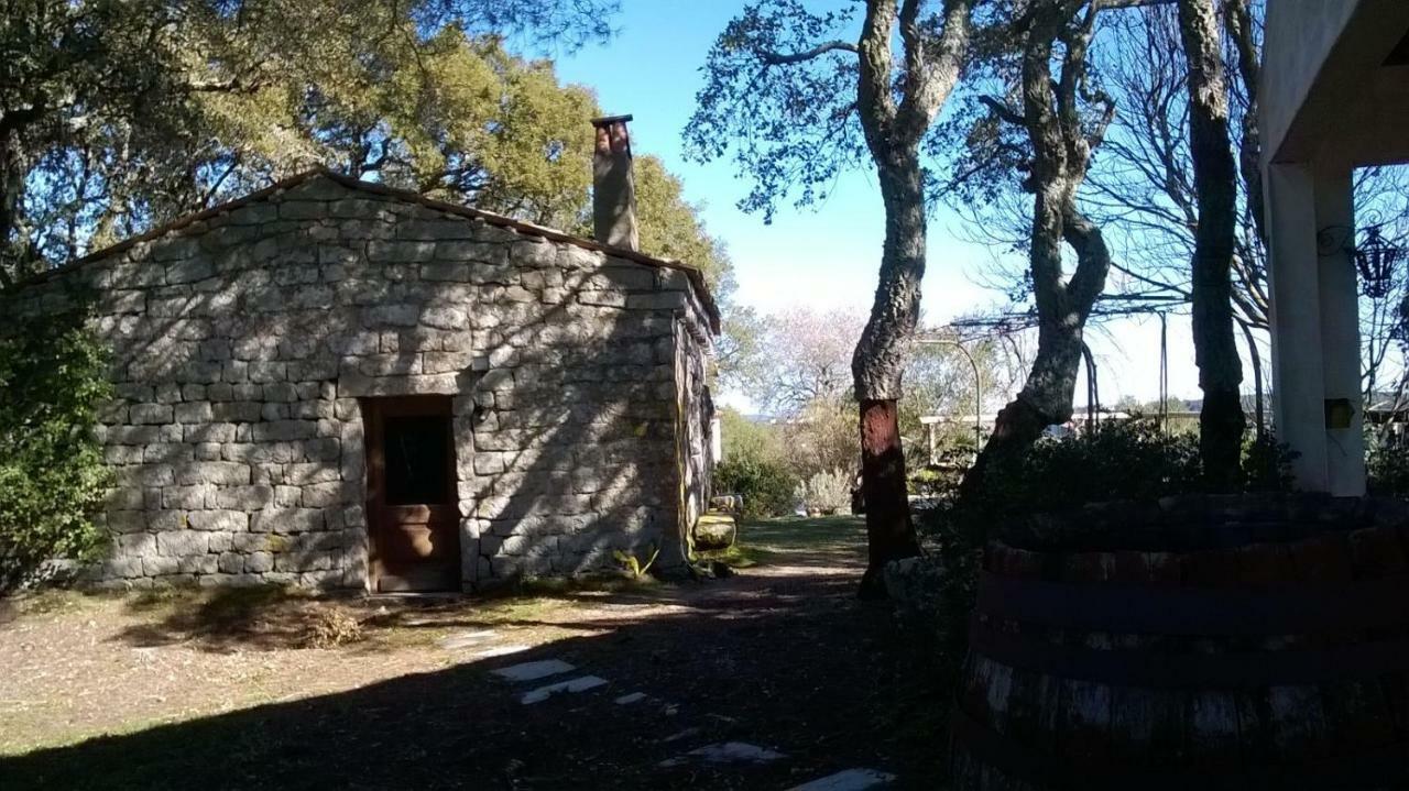 Agriturismo La Vigna Tempio Pausania Bagian luar foto