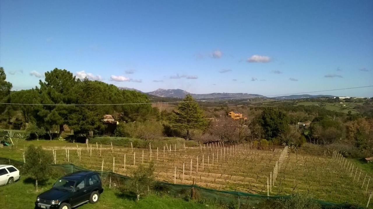 Agriturismo La Vigna Tempio Pausania Bagian luar foto