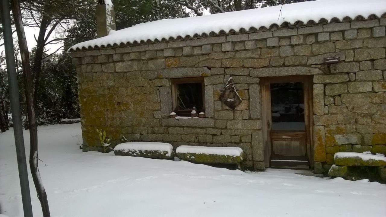 Agriturismo La Vigna Tempio Pausania Bagian luar foto