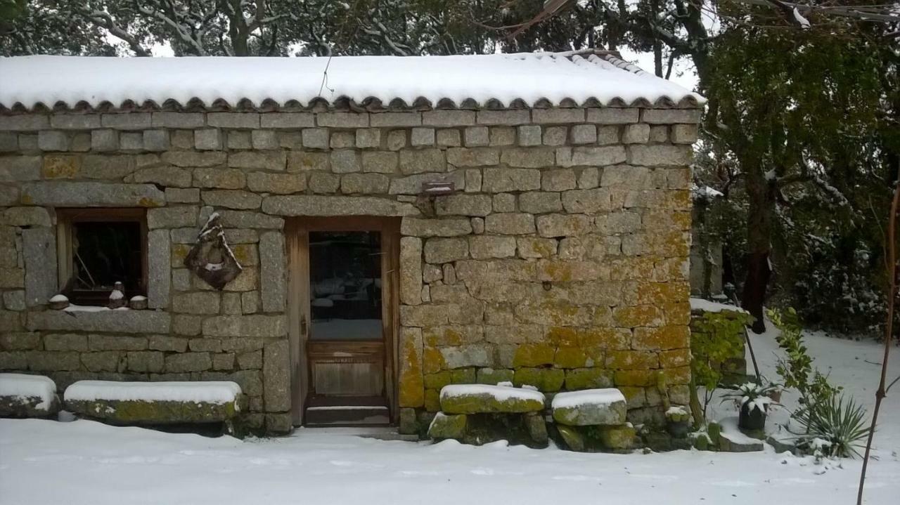 Agriturismo La Vigna Tempio Pausania Bagian luar foto